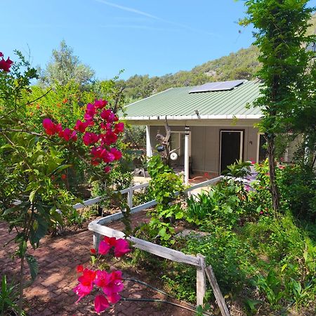 Gelidonia Fenerium Holiday Home Antalya Dış mekan fotoğraf