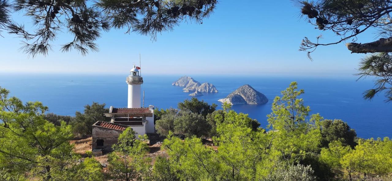 Gelidonia Fenerium Holiday Home Antalya Dış mekan fotoğraf