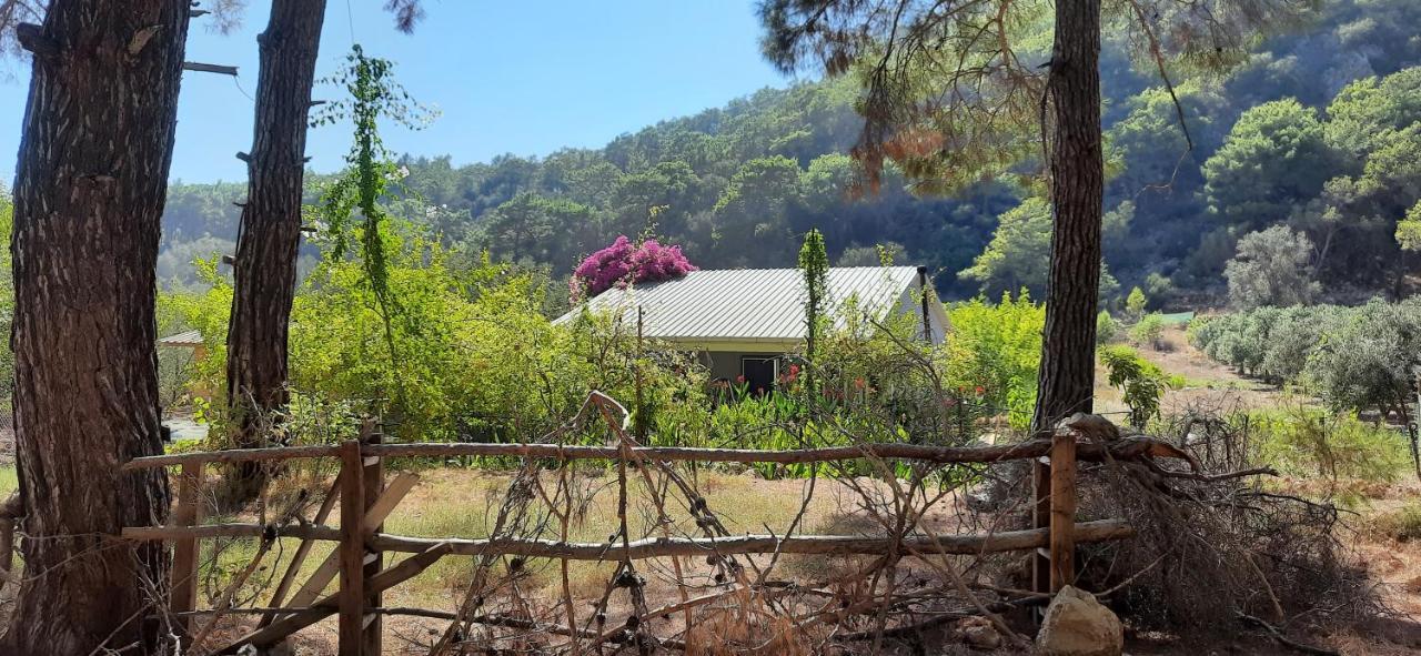 Gelidonia Fenerium Holiday Home Antalya Dış mekan fotoğraf