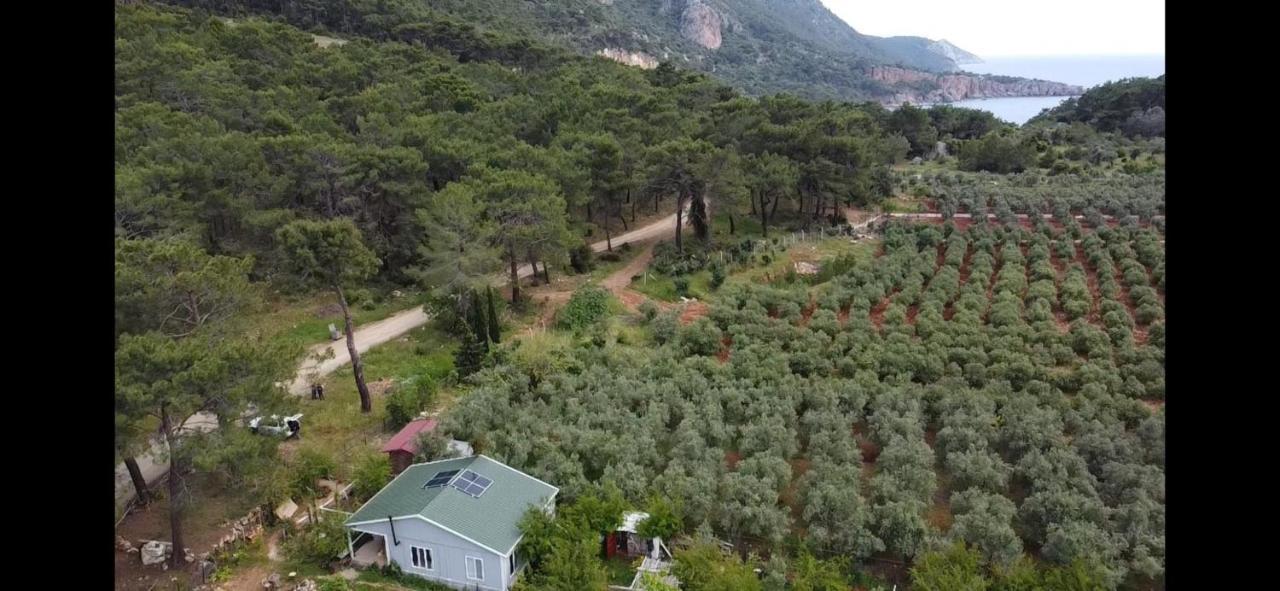 Gelidonia Fenerium Holiday Home Antalya Dış mekan fotoğraf