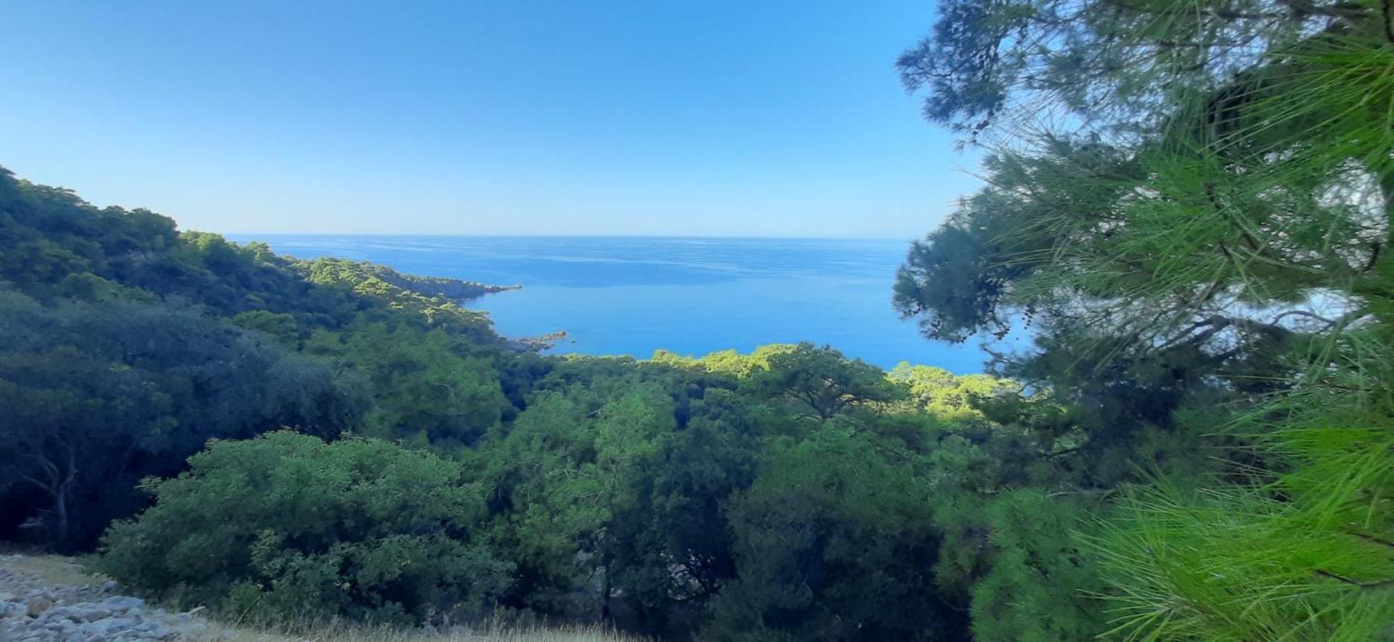 Gelidonia Fenerium Holiday Home Antalya Dış mekan fotoğraf