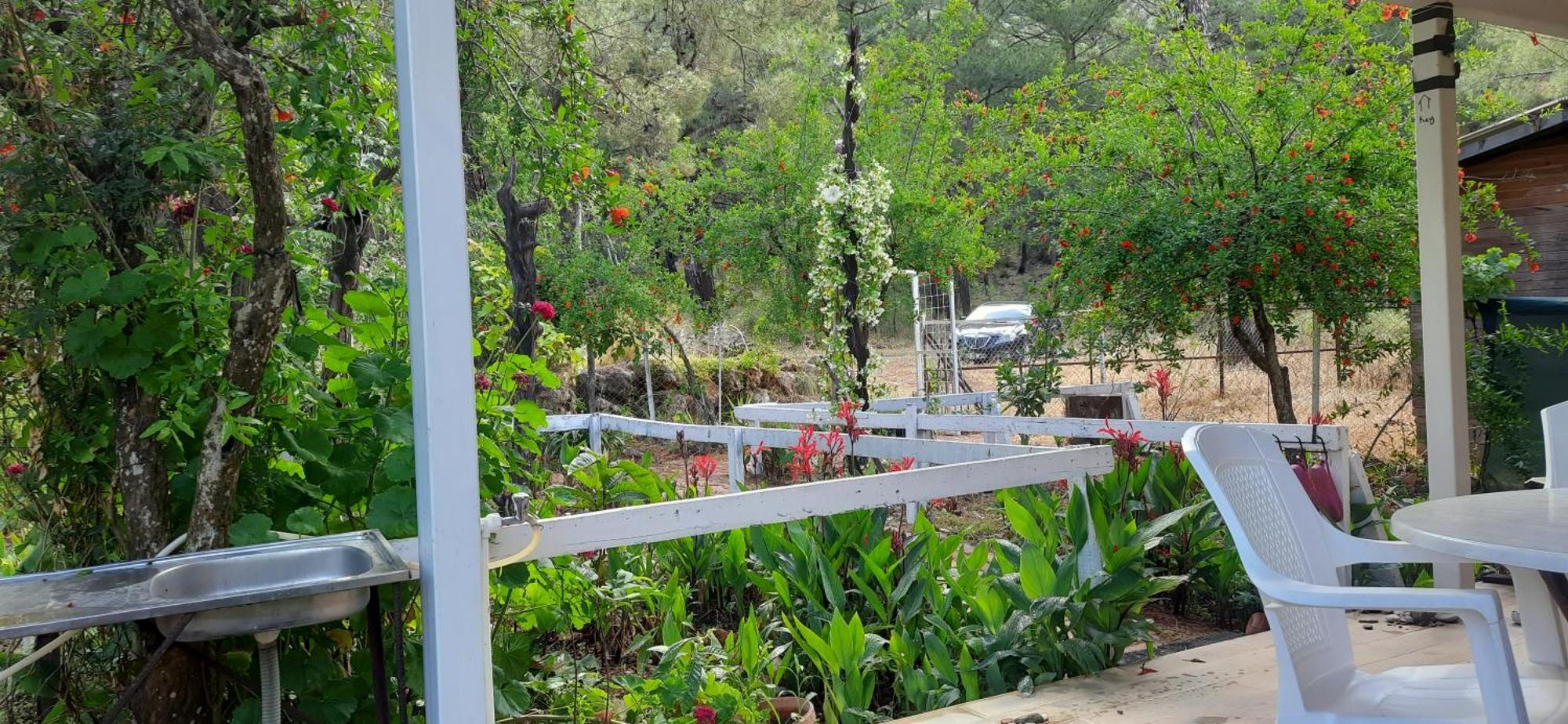 Gelidonia Fenerium Holiday Home Antalya Dış mekan fotoğraf