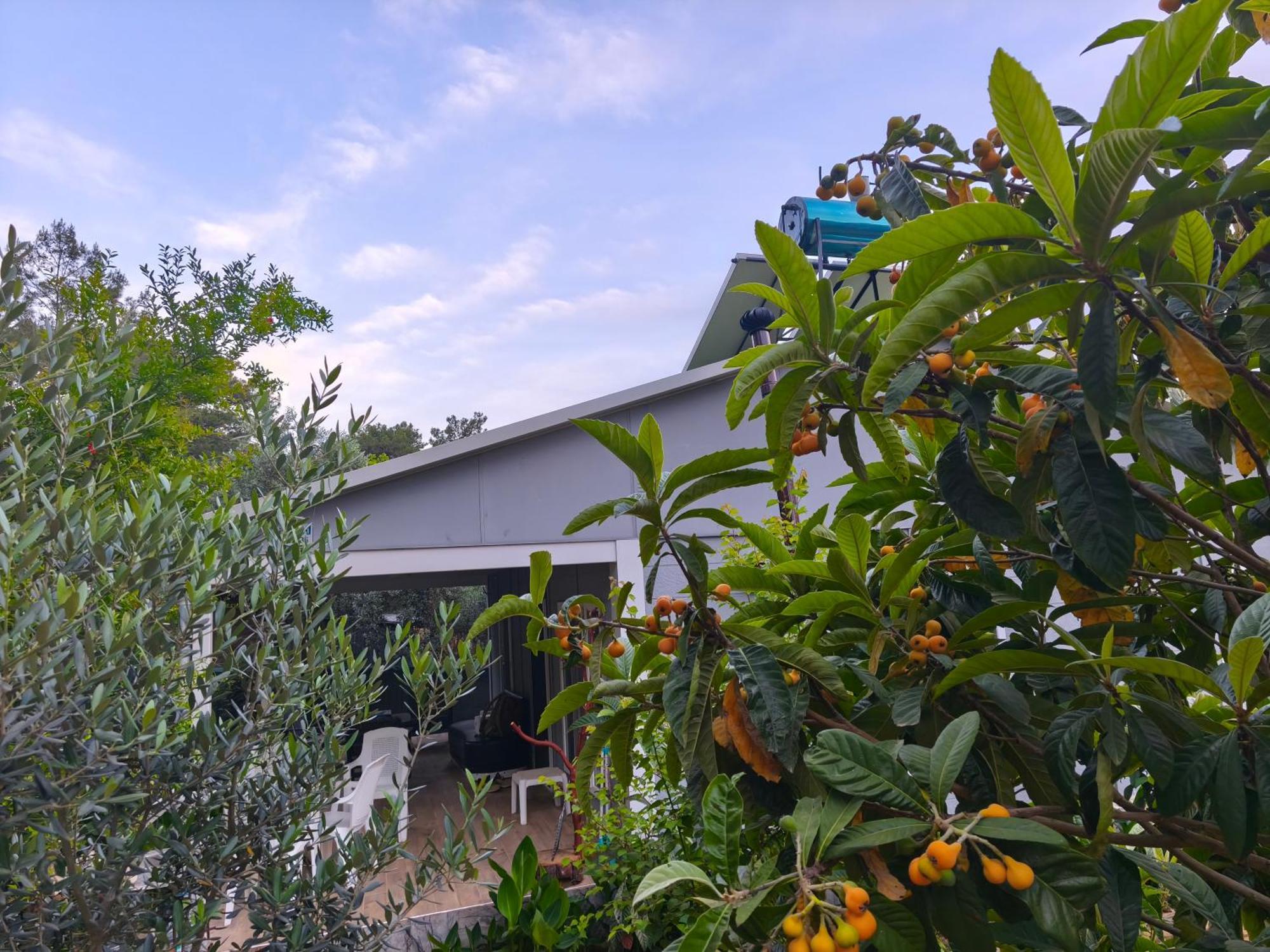 Gelidonia Fenerium Holiday Home Antalya Dış mekan fotoğraf
