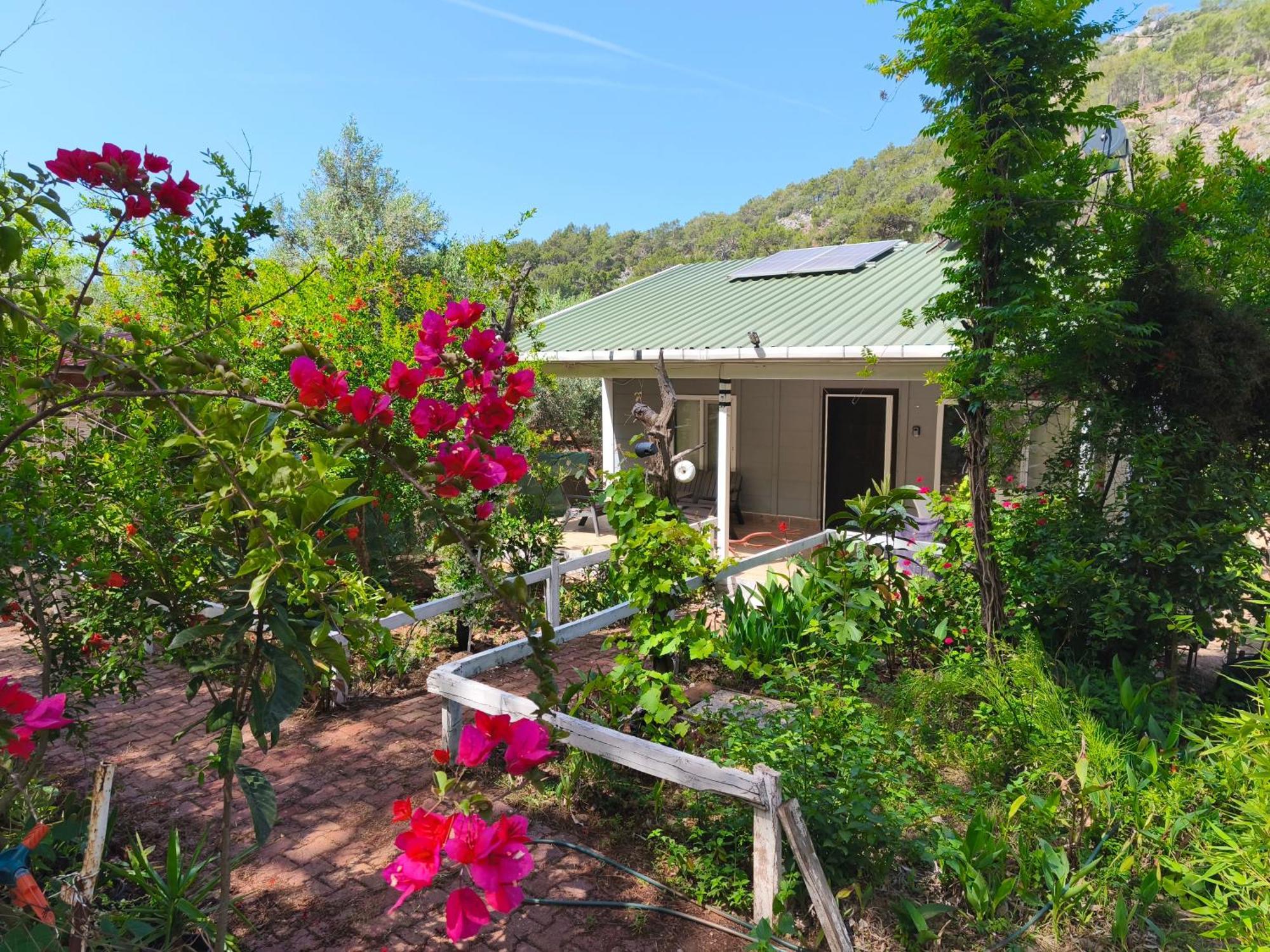 Gelidonia Fenerium Holiday Home Antalya Dış mekan fotoğraf